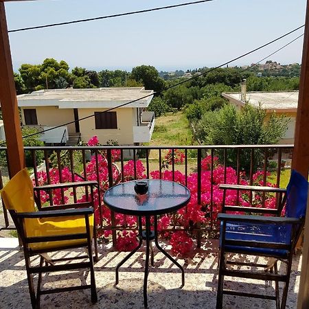 Filippos Apartments "Room 6" No Kitchen 斯巴达 外观 照片